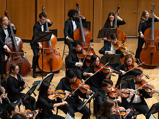 An orchestra plays onstage, including lines of double basses, violinists, and woodwinds players.