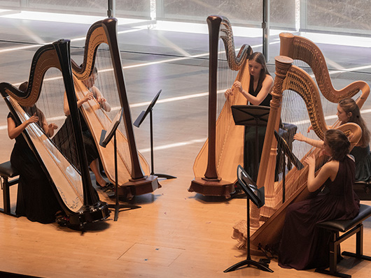 Bienen harp studio