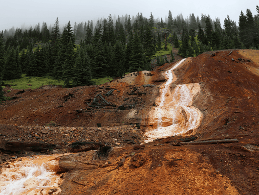 Teresa Montoya (Diné, born 1984), Tó Łisto #3 (Yellow Water #3), from the series Tó Łisto (Yellow Water), 2016, printed 2024. Inkjet print. Mary and Leigh Block Museum of Art, Northwestern University, Block Board of Advisors Endowment Fund purchase, 2024.