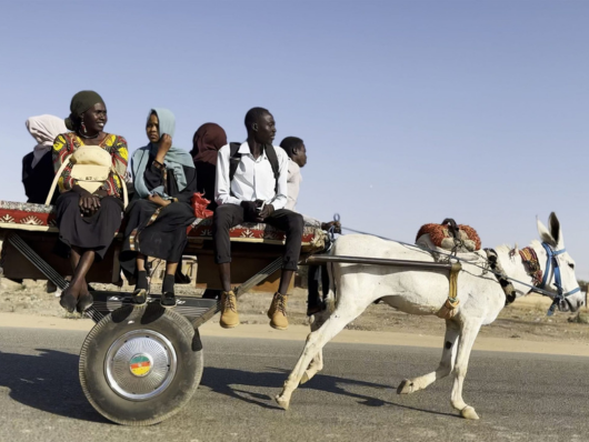 A group of people on a lift pulled by a donkey