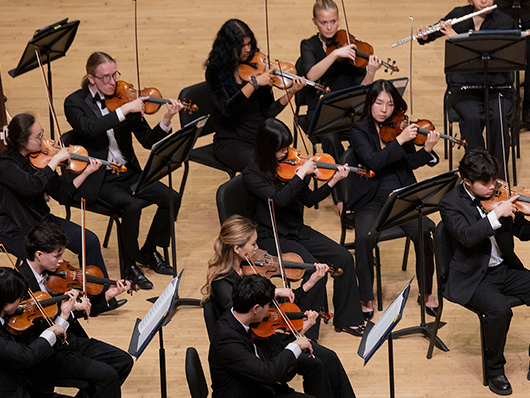 Northwestern University Chamber Orchestra