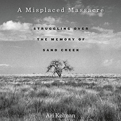 A Misplaced Massacre book cover