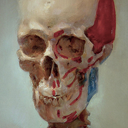 Teaching Skeleton (oil on panel) by John Jacobsen 