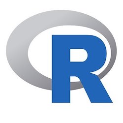R logo