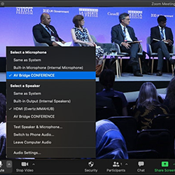 Screenshot of Zoom program showing recording of panel discussion on stage