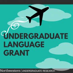 Undergraduate language grant