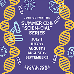 Purple background with yellow dna icons and blue and white cell and microscopes with text, "Join us for the Summer CDB "Scien-cial" Series; July 8, July 22, Aug 5, Aug 19, Sept 2; Social hour to follow"
