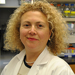 Headshot of P. Hande Ozdinler, PhD