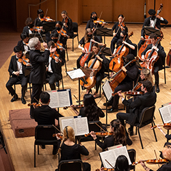 Aerial view of orchestral players on stage.