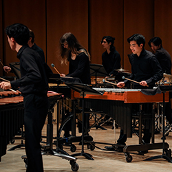 Percussion musicians playing on many different instruments