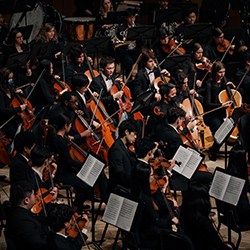 A large group of string musicians in performance