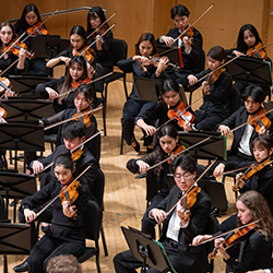 The violin section of an orchestra plays on a wooden stage.