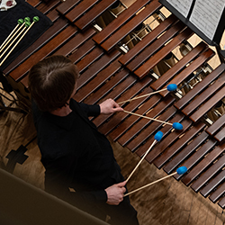 An overhead angle of a musician playing a marimba with two mallets in each hand.