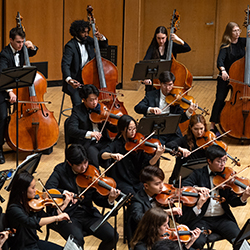 An orchestra plays onstage, including lines of double basses, violinists, and woodwinds players.