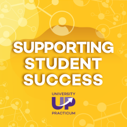 supporting student success practicum logo