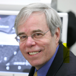 
								Photo of Professor Peter Voorhees