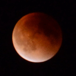 Lunar eclipse photo taken by Guohua Wei in 2015