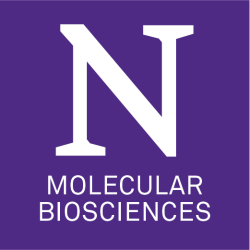 Northwestern Molecular Biosciences