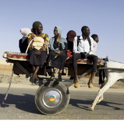 A group of people on a lift pulled by a donkey