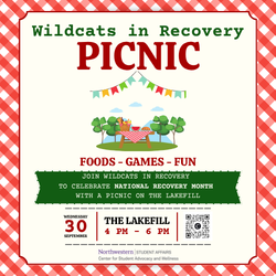 Flyer for &ldquo;Wildcats in Recovery Picnic&rdquo; with a red-and-white picnic-check border. Large red headline reads &ldquo;PICNIC&rdquo; under green text &ldquo;Wildcats in Recovery.&rdquo; A festive banner hangs above an illustration of a picnic table with food, trees, and hills. Text s